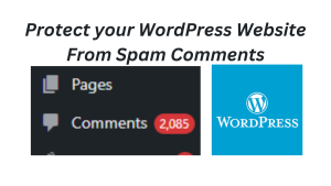 protect your wordpress website from spam comments