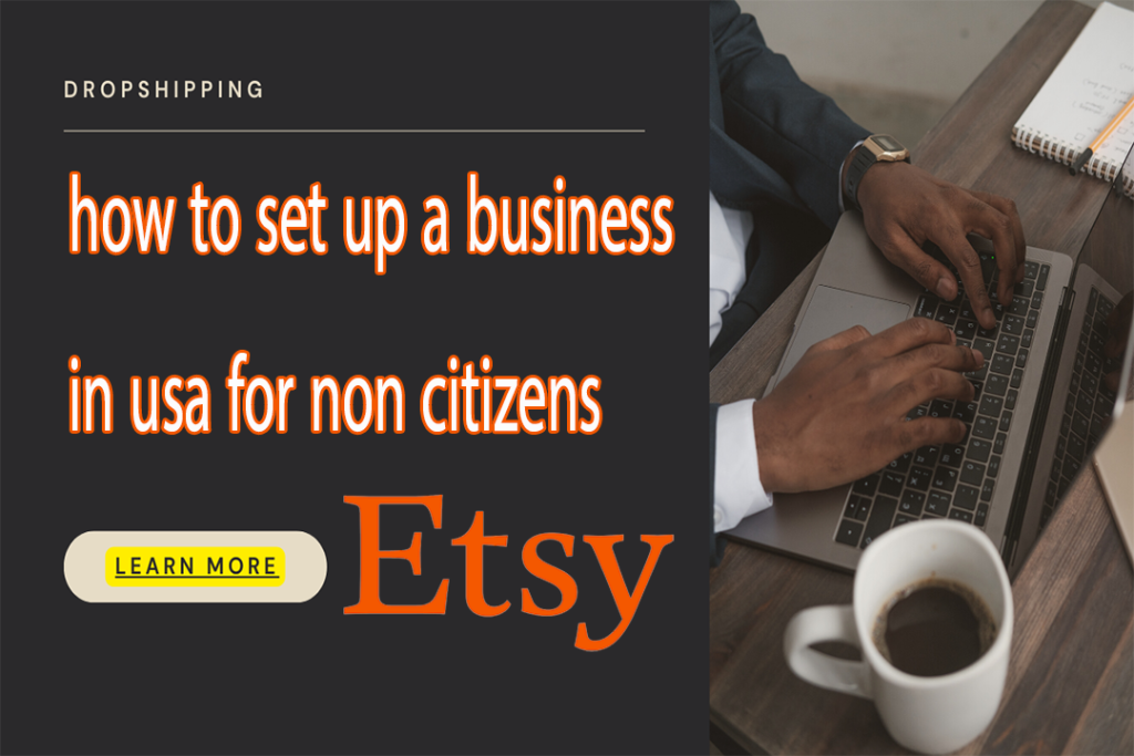 how to set up a business in usa for non citizens?