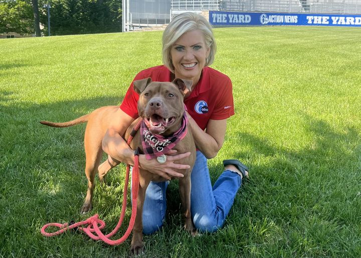 rescued animal finding comfort and love at Louie's Legacy Animal Rescue.